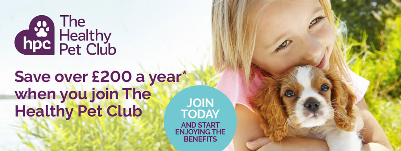 The Healthy Pet Club advert