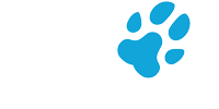 Blue paw print for the news